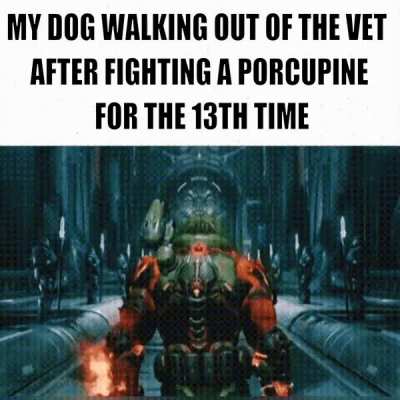 How many times