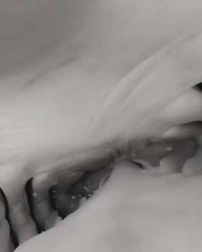 Shark eats diver’s camera and it’s incredible