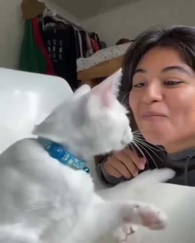 Hey what you doin hooman