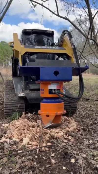 Tree stump grinding