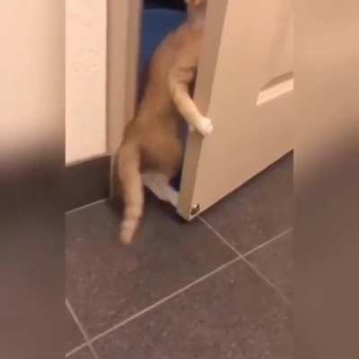 "I'm out of here!"