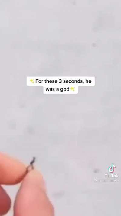 Godspeed