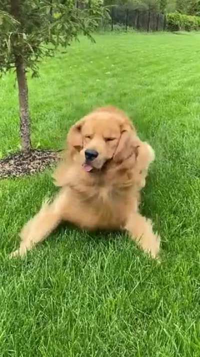 Activate Derp Mode!