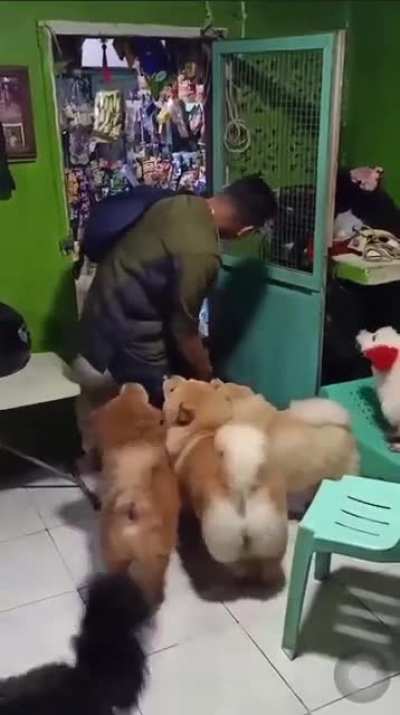 So much fluffiness