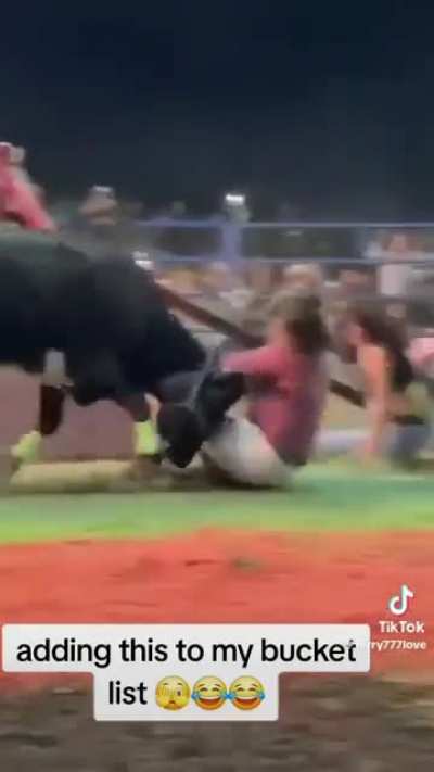 Seesawing with a bull