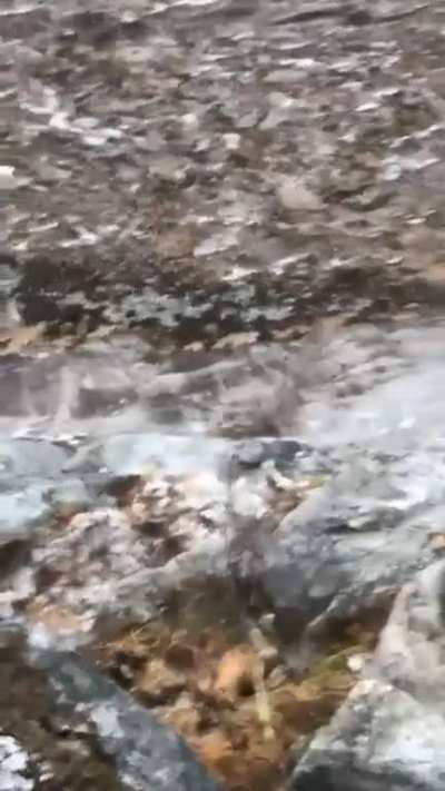 Rock go boom?