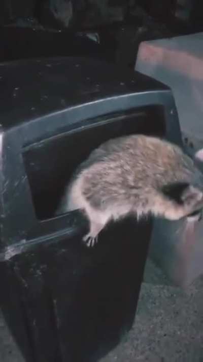 "Ight, imma head out"