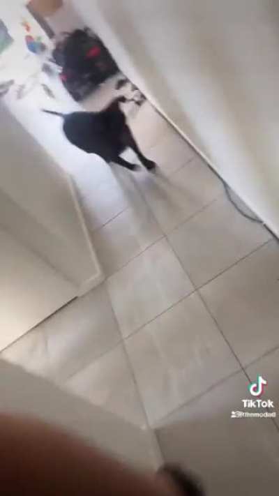 In pursuit