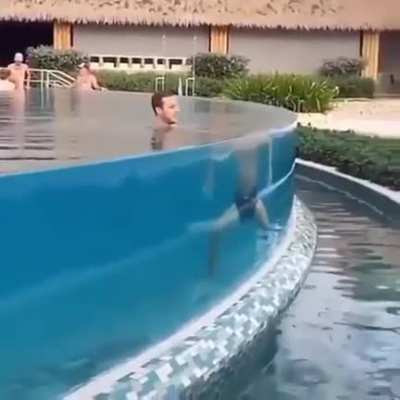 Physics at its best
