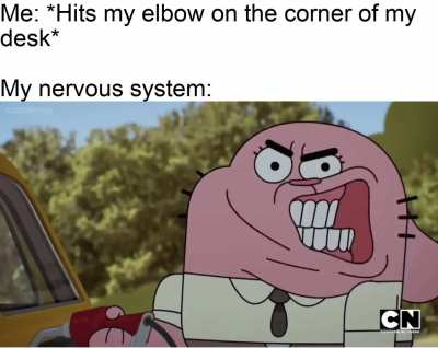 My brain is detecting several errors
