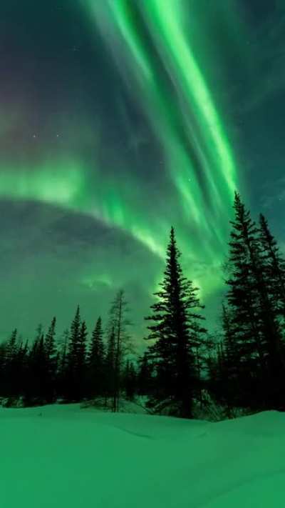 ? Aurora dancing in Churchill Manitoba ?
