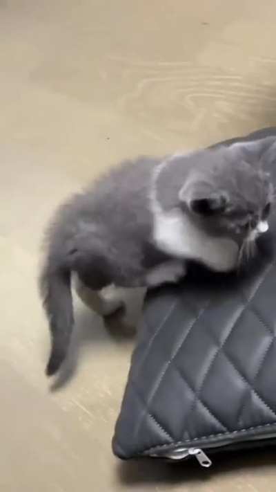 Sleepy baby???