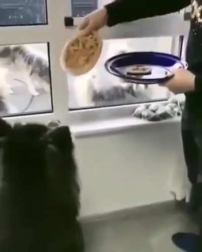 Maybe maybe maybe