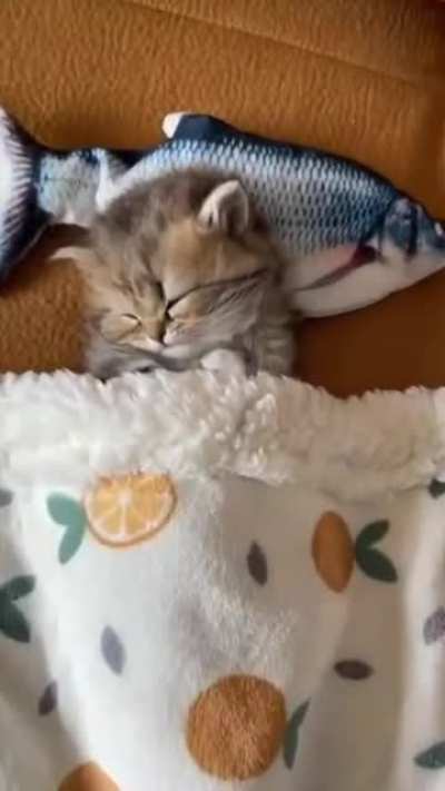 Sleepy