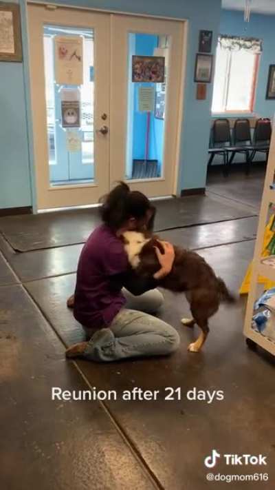 Dog reunion - I can feel the love ?
