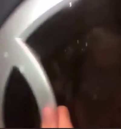 the wheels on the bus go...