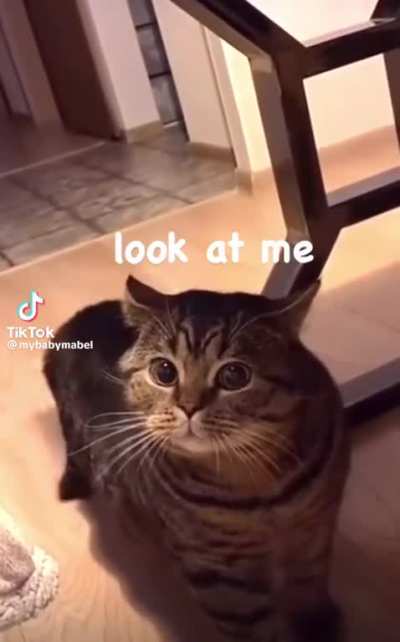 Look, I'm gay ?️‍?