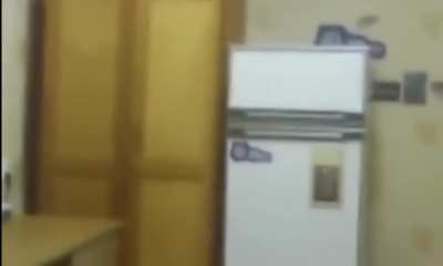 Fridge