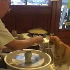 Someone's going to be an artist when they grow up