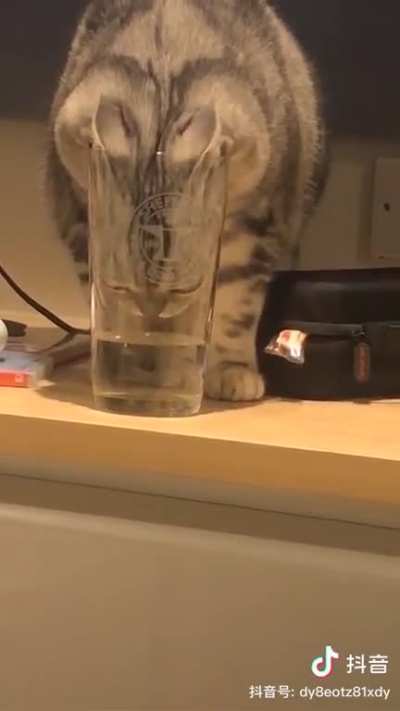 If it fits,