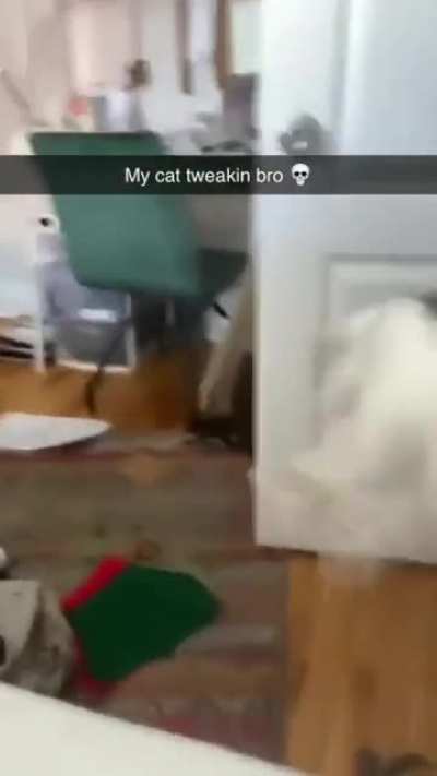 ?