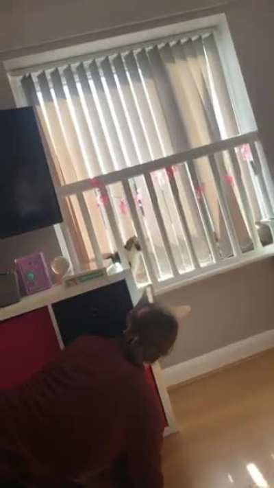 Wait for it ...