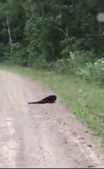 Jumped too short