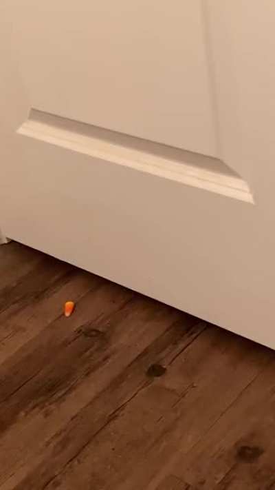 To Poop In Peace