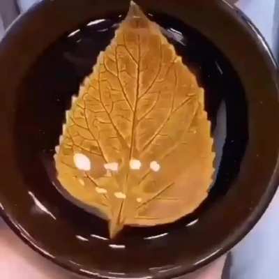These bowls ?