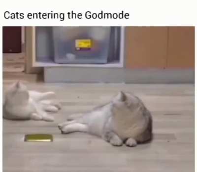 Imagine telling this story without the video