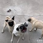 Look in his eyes.