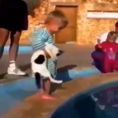 to drown the Kitty in the pool