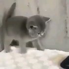SOOO cute ??
