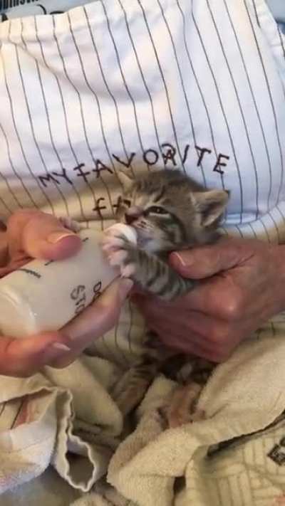 Look at this absolute ANGEL ?