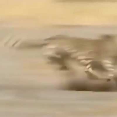 ? Warthog jukes and turns the tables on a cheetah
