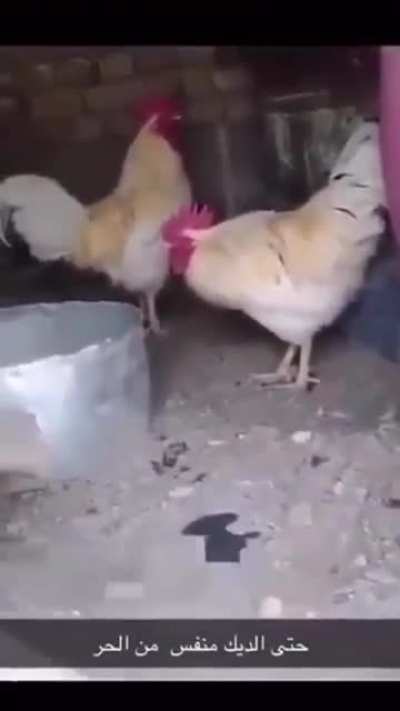 Not in the mood