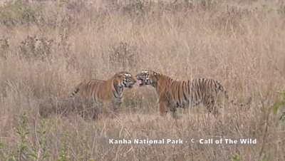 ?Throwback to this iconic fight between Umarpani and Kingfisher?