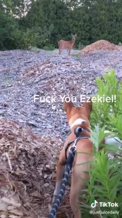 The giggling of the people as they dub them makes this