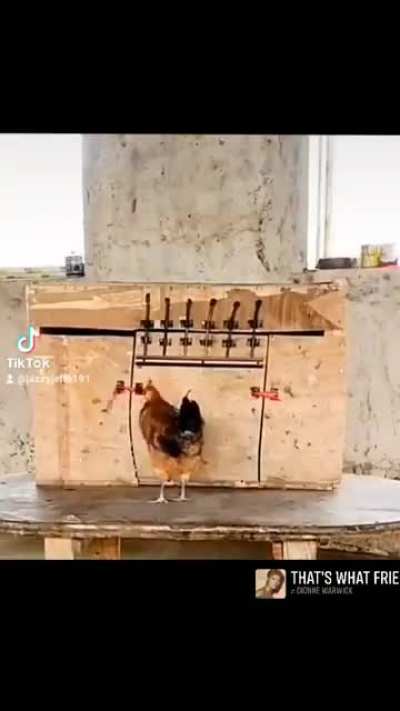 Supper time