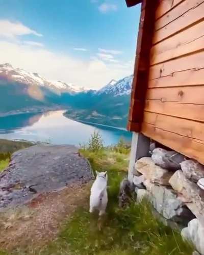 ? A backyard view in Norway