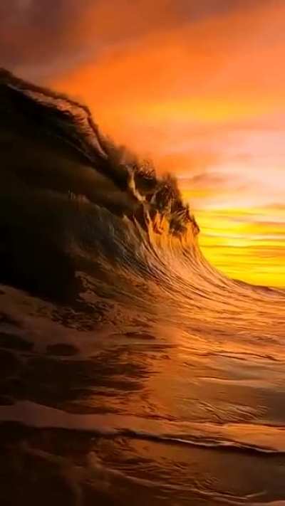 ? Orange Wave ?