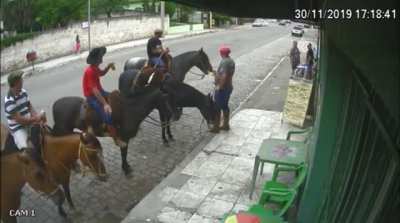 Horses are dangerous