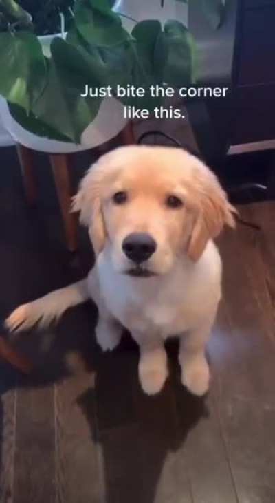You can take a small bite