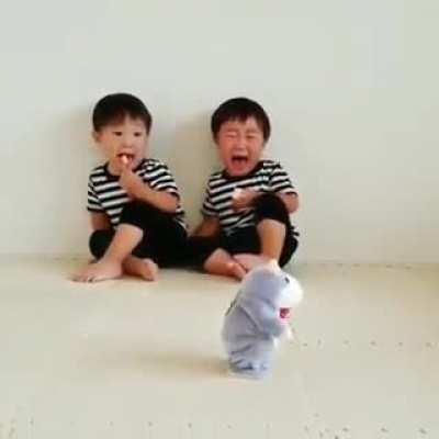 Crying over a toy