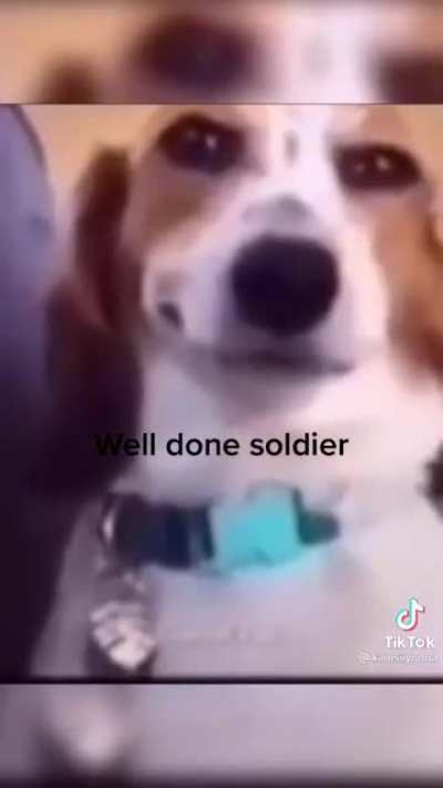Well done solder.