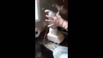 How not to use a blender