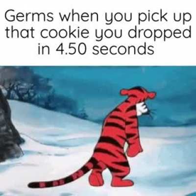 5 second rule is the only rule