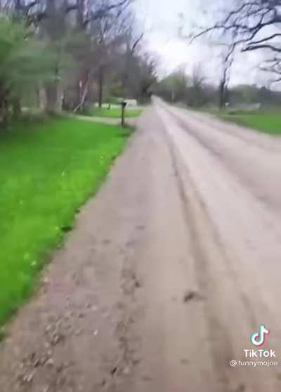 Aww poor dog. But the laughter made me laugh ?