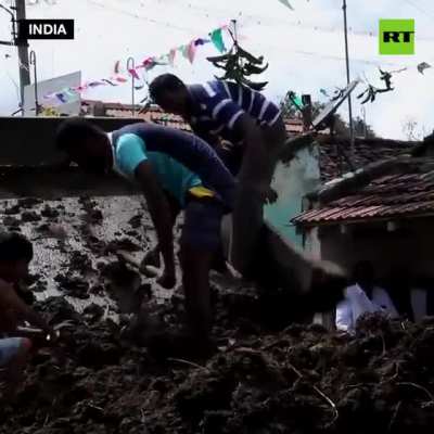 Cow dung festival