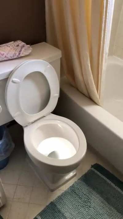 Toilet glows after sunrays hit perfectly on the water.